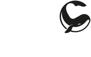 Hospital da Baleia